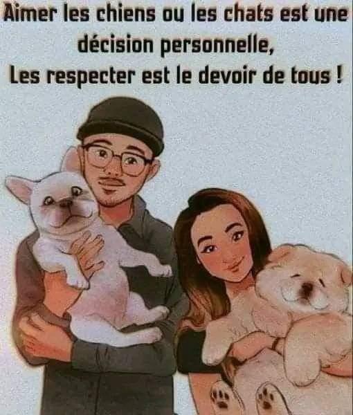 Aimer les chiens et chat et les respecter