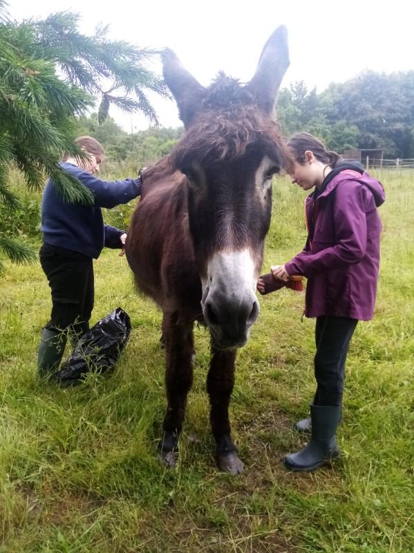 Nina et manon qui brosse pune