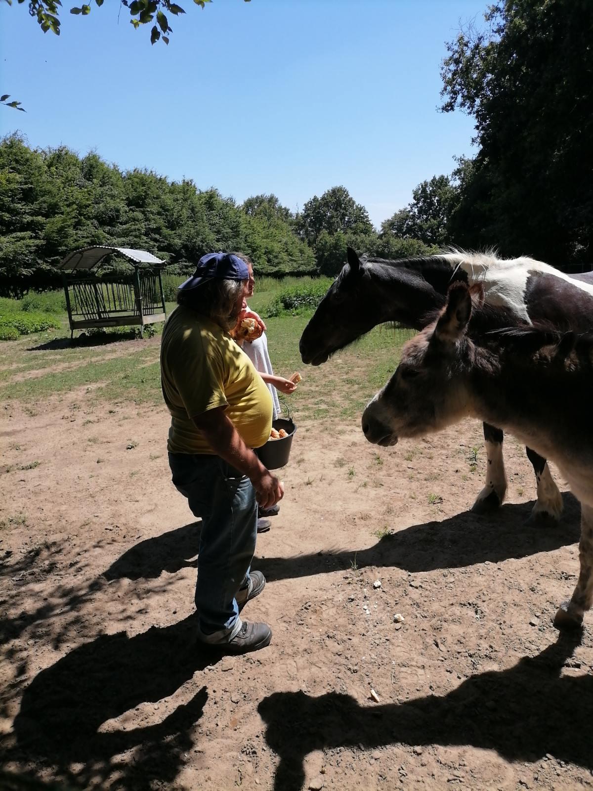 Stagiaire nina au refuge de la houssiere monce en belin 1